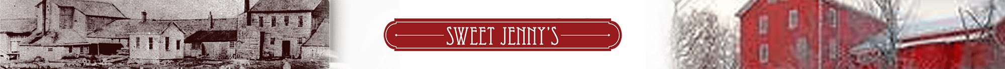 Sweet Jenny's Ice Cream Logo